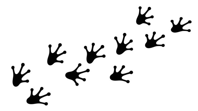 A dynamic diagonal path of black frog footprints on a bright white background, symbolizing the journey, movement, and presence of amphibians in their natural habitat