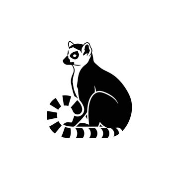 Elegant black and white illustration of a ring-tailed lemur in a sitting pose.