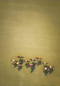 Aerial view of a group of horses and jockeys racing across a grassy field, casting long shadows.