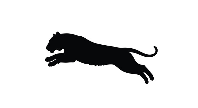 leopard silhouette in mid leap high quality professional