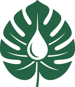 Bold Monstera Leaf Logo with Water Drop Negative Space, Minimalist Green Flat Vector for Wellness and Skincare Branding