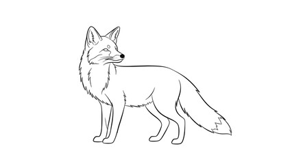 Fototapeta premium A detailed line drawing of a fox standing and looking to the left, showcasing its bushy tail and alert ears, rendered in a classic illustration style