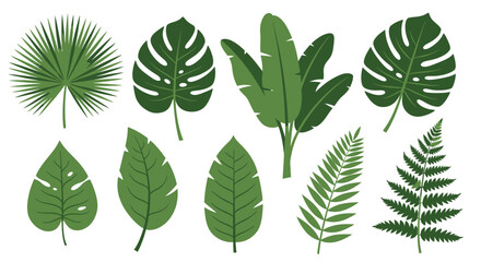 Collection of various green tropical leaves 1. © laila