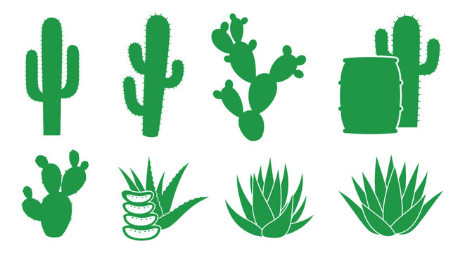 Variety of green cactus plants icons.