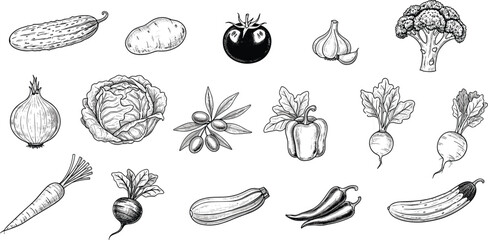 Fototapeta premium Vegetable engraving vector set. Tomato, broccoli, carrot, onion and chili sketch collection. Hand drawn vintage food illustration in monochrome style for menu, packaging and culinary design.