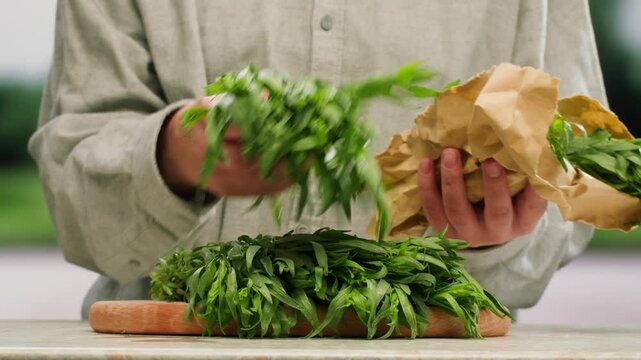 Tarragon leaves, bunch of tarragon on kitchen chef cooking dinner, middle eastern greens close up, macro. 