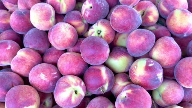 Top view moving shot of fresh ripe peaches displayed in large quantity at a supermarket or grocery store. Close-up of juicy summer fruits on a market shelf, healthy food and fresh produce concept