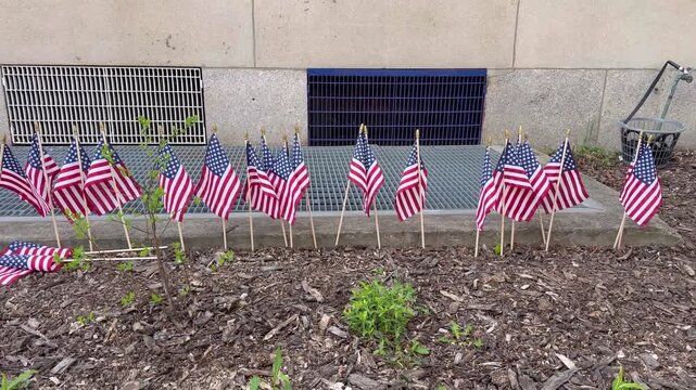 Multiple small American flags placed in the ground along the wall of a building, waving in the wind outdoors. Patriotic decoration, national symbol of the United States, Memorial Day, Independence Day