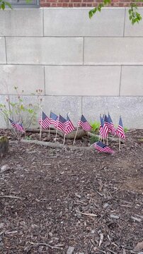 Multiple small American flags placed in the ground along the wall of a building, waving in the wind outdoors. Patriotic decoration, national symbol of the United States, Memorial Day, Independence Day