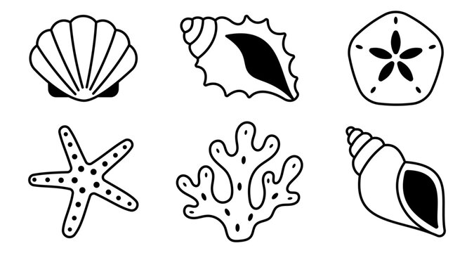 Sea shell and marine icon set with scallop conch sand dollar starfish coral spiral shell ocean beach coastal tropical nautical symbols black illustration collection pack