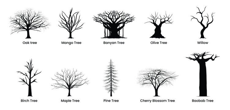 Leafless tree branch silhouette set 