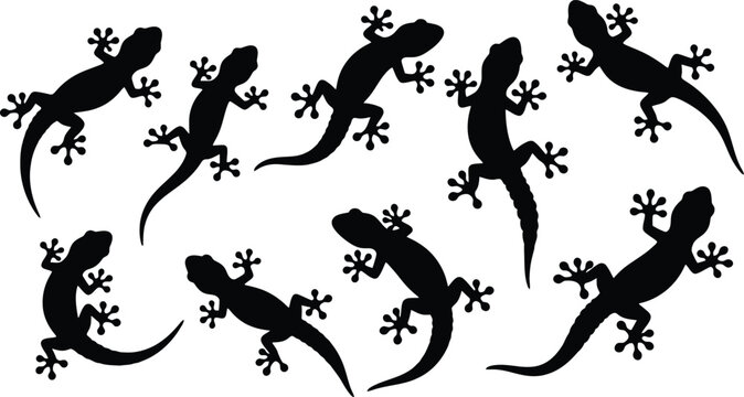 Several black lizard silhouettes displayed in different crawling poses for various creative design and vector projects