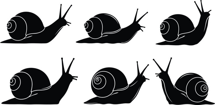 A collection of black snail silhouettes, featuring detailed spiral shells and prominent eyestalks, illustrating slow movement.