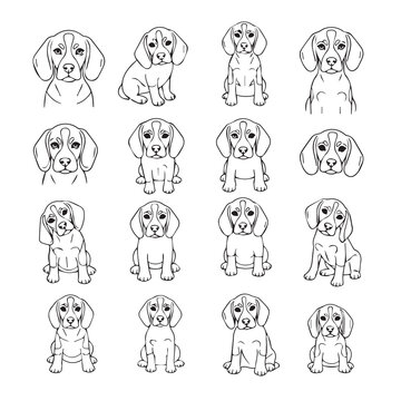 Beagle puppy poses in a clean minimalist line drawing style for diverse commercial applications