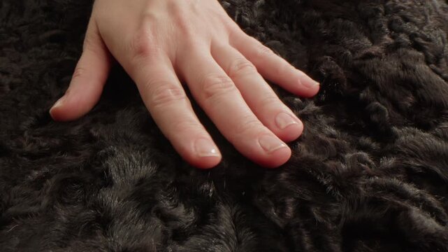 Hand touching soft faux fur texture, luxury winter coat, artificial jacket, texture textile close up. 