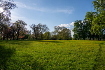 Eine Lichtung in einem Park im Frühling © Kostas Koufogiorgos
