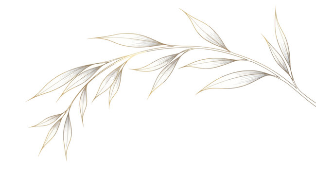 Elegant golden willow branch illustration