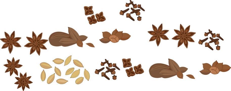 Spices and herbs illustration set with star anise cloves cardamom and cinnamon aromatic cooking ingredients vector collection