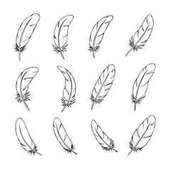Fototapeta premium Collection of delicate quill pen strokes on a clean white background
