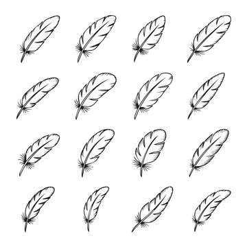 Collection of hand-drawn bird feathers in various styles and angles on a white background