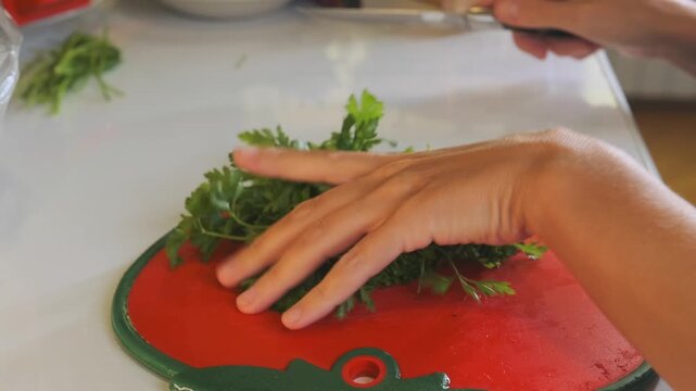female hands finely chopping parsley on board side view, food preparation process with cutting fresh herbs into small pieces, preparing ingredients for cooking, close-up action mincing green parsley