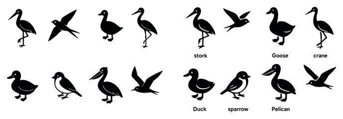 Obraz premium Bird icons with stork duck crane silhouette