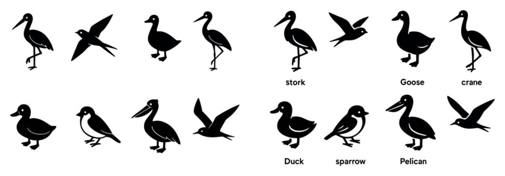 Bird icons with stork duck crane silhouette