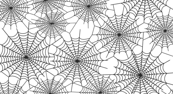 Seamless spider web pattern background, black and white vector illustration.