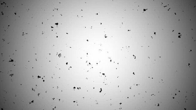 Digital Glitch noise glitch effect noise static television, Authentic vis tape noise with subtle color static and glitches, Abstract TV error texture featuring glitch interference scan line noise. 4k