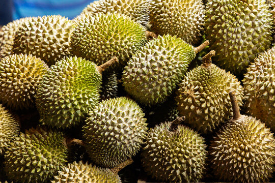 Durian for sale in Singapore 