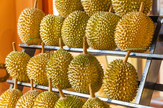 Durian for sale in Singapore 