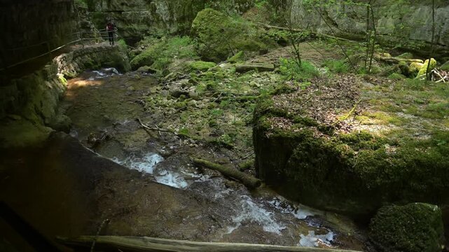 Twannbach Gorge, Switzerland - Clear creek running between moss-covered banks and trees in a shaded woodland setting.