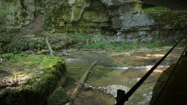 Twannbach Gorge, Switzerland - Large mossy rock on a wooded creek bank with flowing water, fallen branches, and fresh green undergrowth in natural daylight.