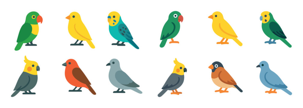 Bird icons with parrot canary cockatiel flat