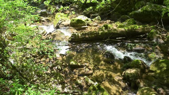 Twannbach Gorge, Switzerland - Sunlit woodland creek flowing over rocks and moss, creating a small cascade in a lush green forest setting.