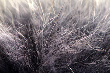 simple background of hair close-up © Валентин Дроздов