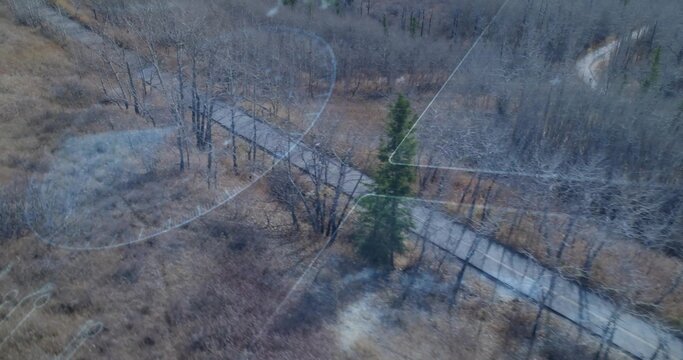 Showing boardwalk running diagonally through marsh from above, with evergreen and lens smudges
