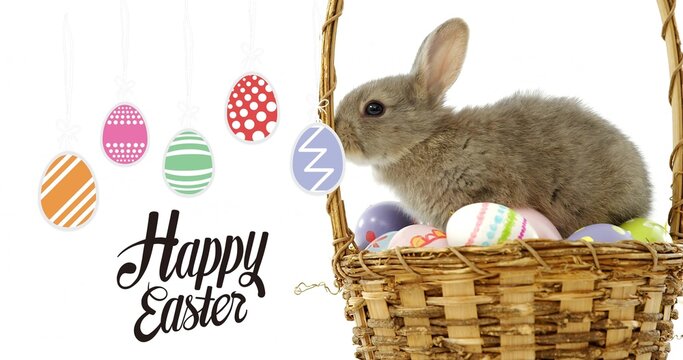Sitting brown rabbit nesting eggs in basket at studio, ornaments, Happy Easter text, copy space