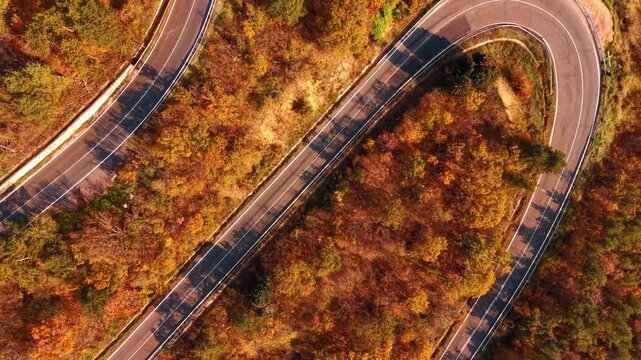 Top down aerial view of hairpin curves on road. Vertical perspective of sharp mountain road switchbacks surrounded by colorful autumn forest.