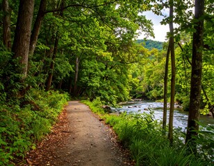 Obraz premium A winding dirt path parallels a flowing river within a vibrant, sun-dappled forest, lush with green foliage