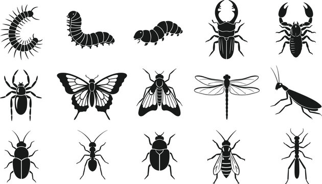 Collection of sixteen insect silhouettes including butterfly, moth, beetle, dragonfly, centipede, caterpillar, showcasing diverse arthropod forms and morphology