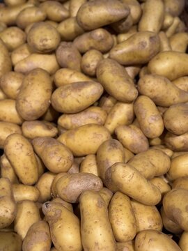 Fresh raw potatoes close up natural farm produce background