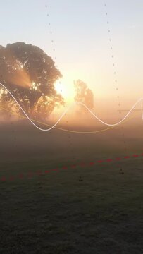 Vertical video: Sun rising behind trees, mist glowing while grids and waves animating to map field
