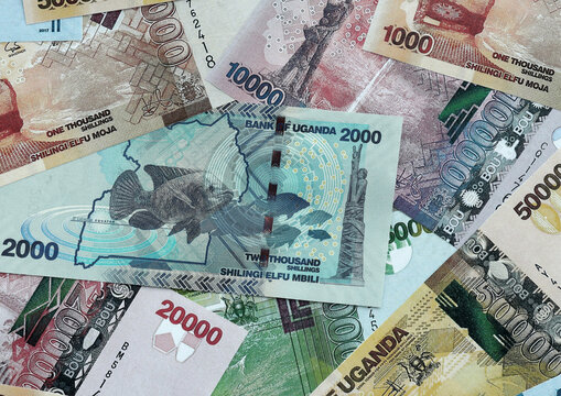 Ugandan shilling money banknotes pile on table. Uganda bills of UGX currency close up