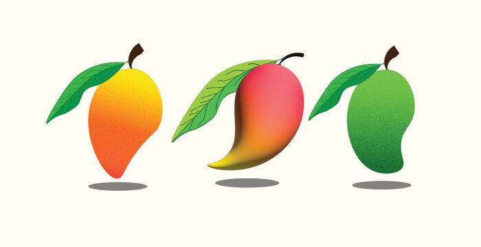 3d Mango vector illustration artwork for print