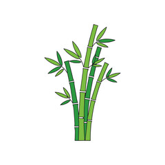 Obraz premium A clump of vibrant green bamboo stalks with delicate leaves reaching upwards.