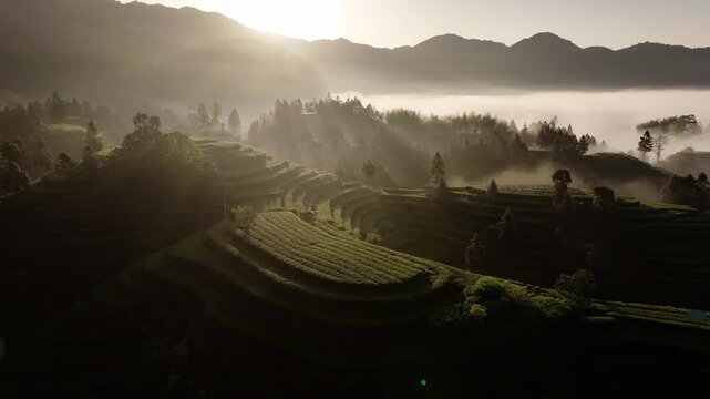 Terraced fields winding through misty mountains at dawn with interplay of light and shadow