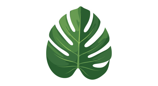 A vibrant and distinct illustration of a large, iconic green monstera deliciosa leaf with its characteristic split shape, symbolizing tropical nature.