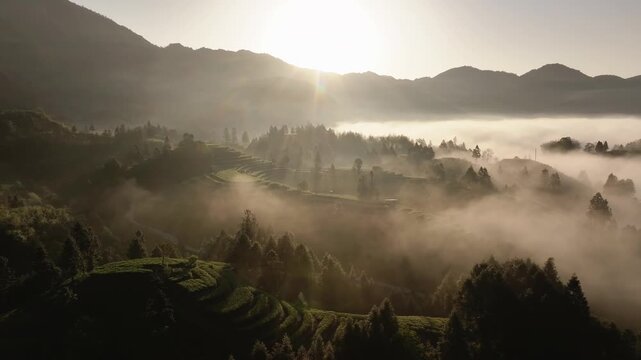 Terraced fields and mountain ridges shrouded in morning mist with sunrise glow