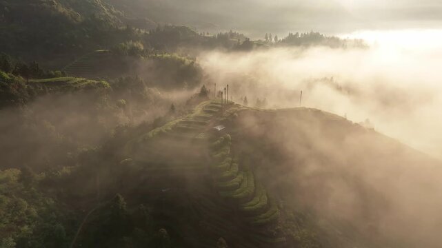 Misty morning landscape with terraced fields winding across rolling hills bathed in soft golden light